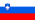 Slovenia flag