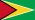 Guyana flag