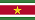Suriname flag
