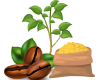 icon category