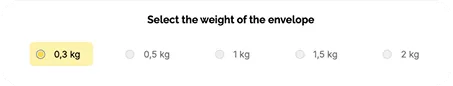Choose the weight of your envelope