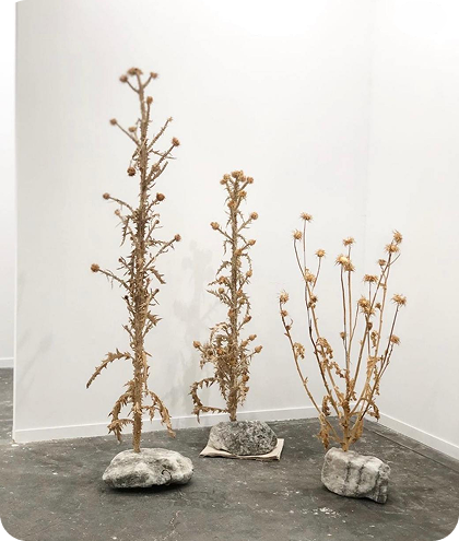 Сложная перевозка сухоцветов на камнях из Австрии в Киев