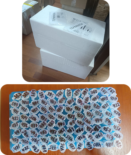 Доставка біологічних зразків з України до США