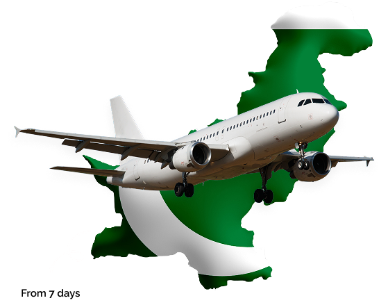 Delivery from Pakistan to Ukraine